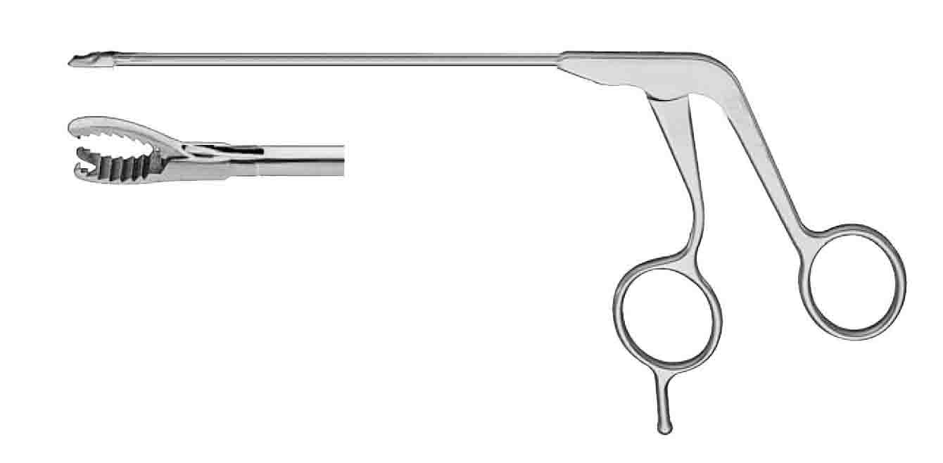 SİLGRASP PANÇ 20 CM